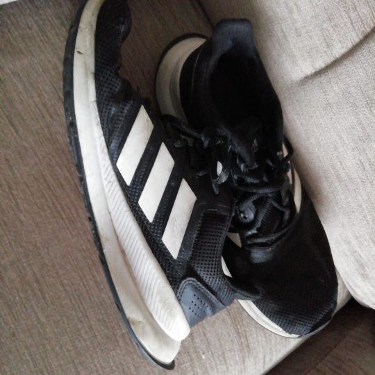 Adidas shoes