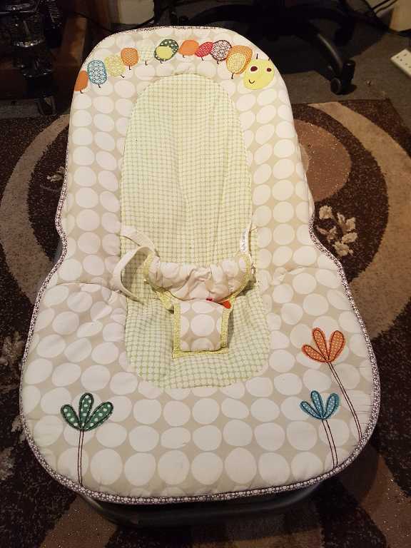 Baby Bouncer