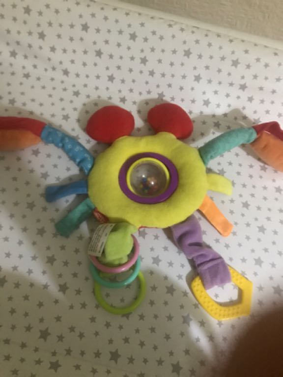 Crab toy
