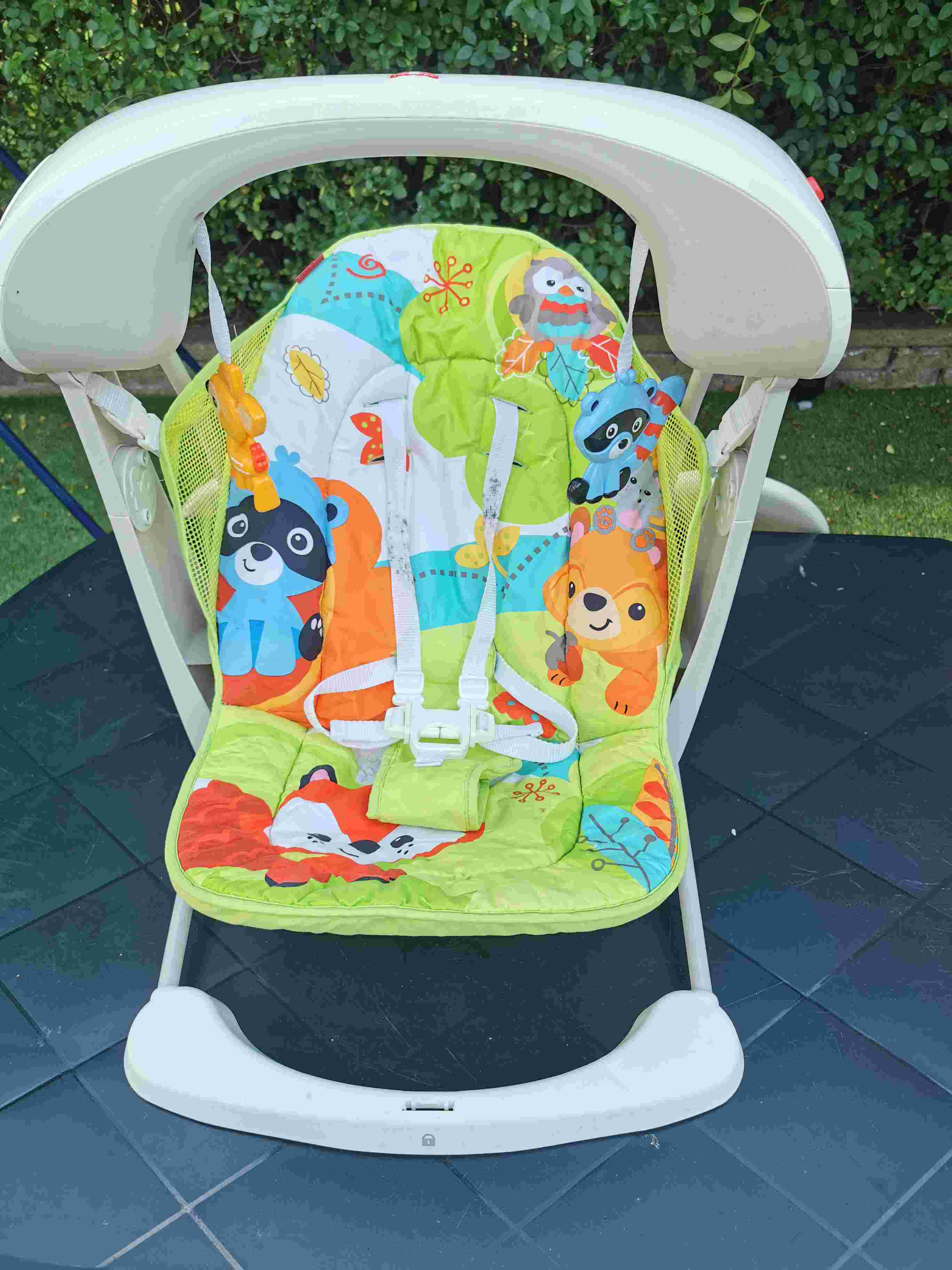 Fisher price swing