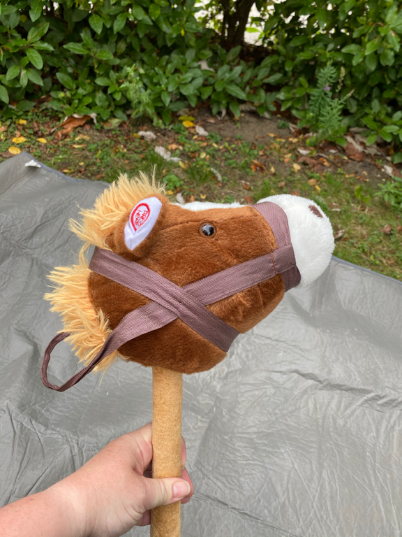Hobby horse (makes noises)