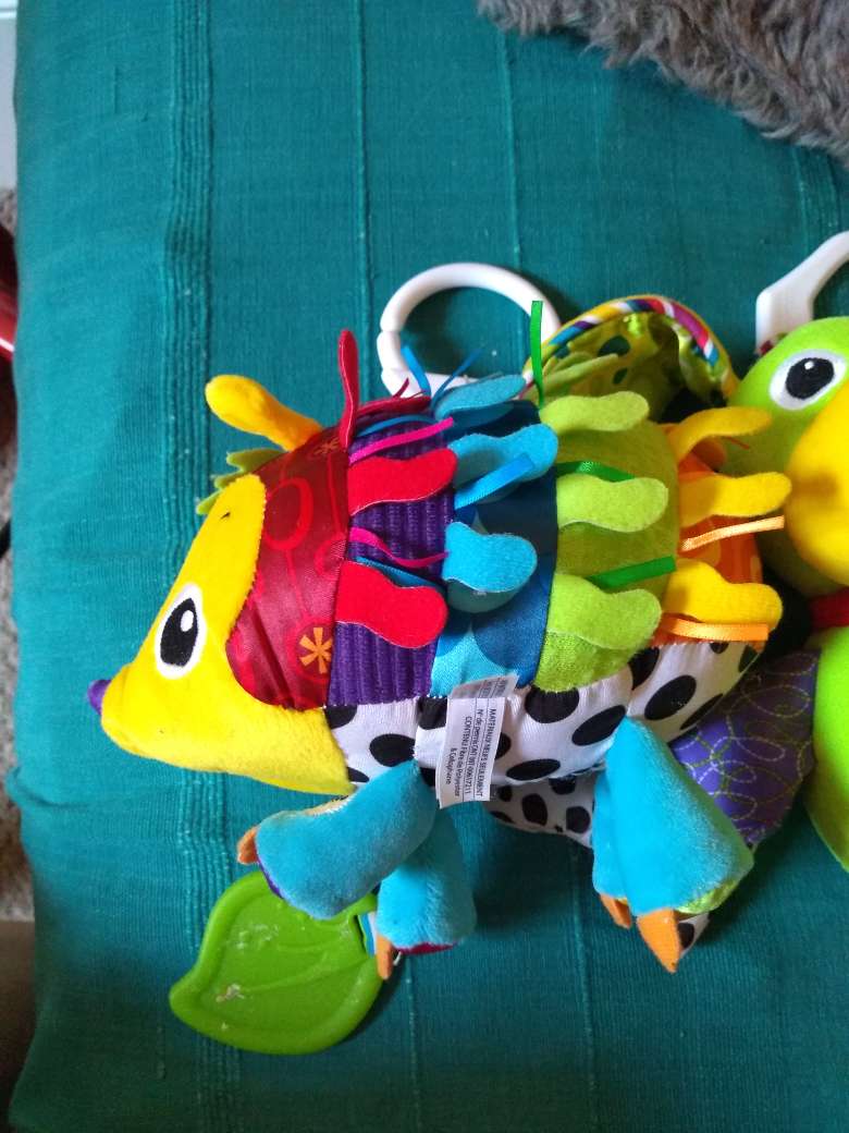 Lamaze Hedgehog