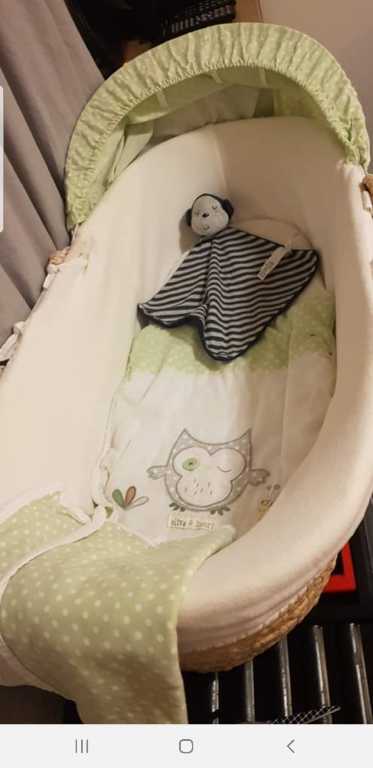 Moses basket