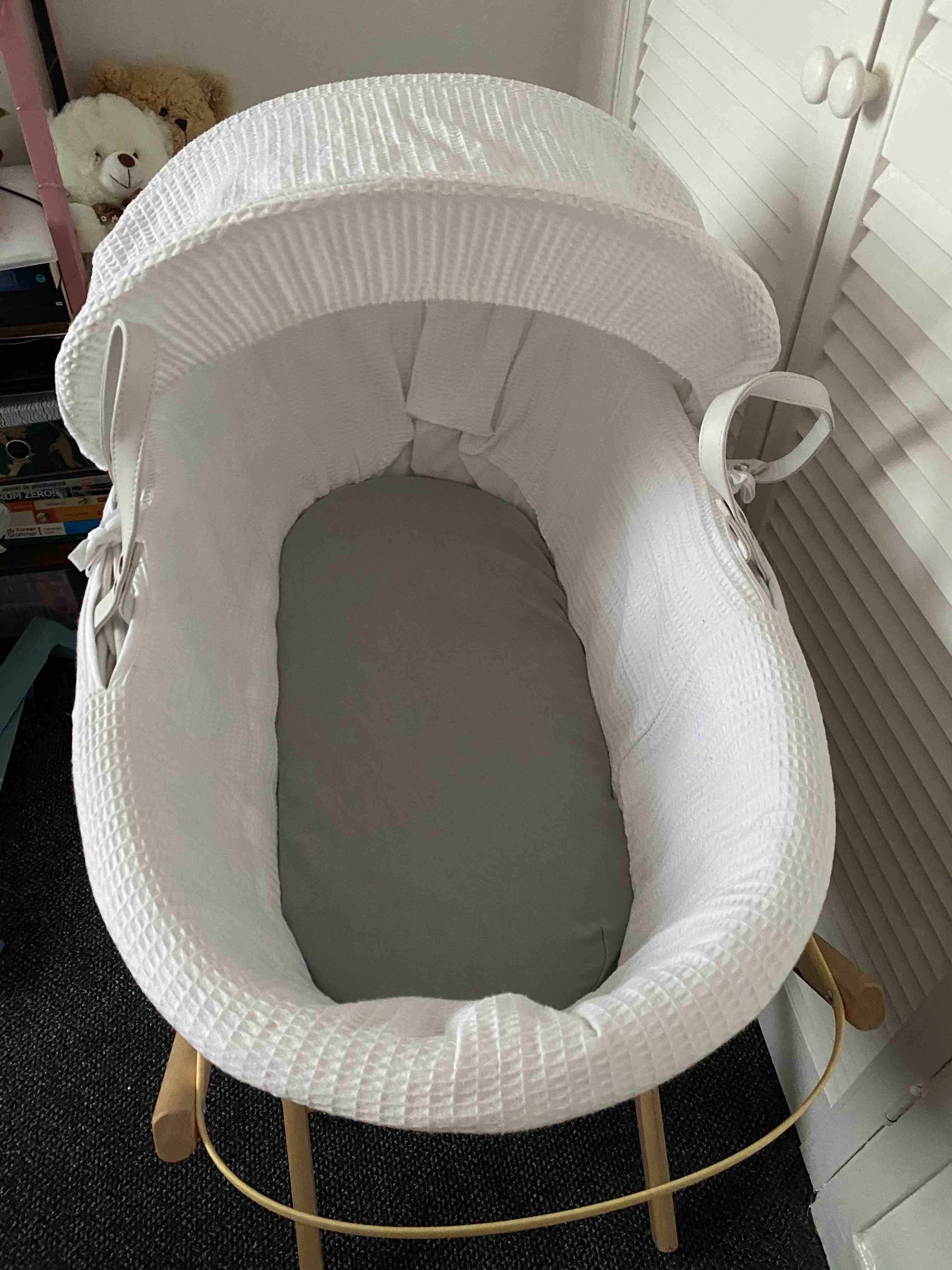Moses basket