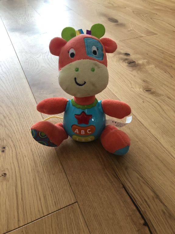 Musical giraffe toy