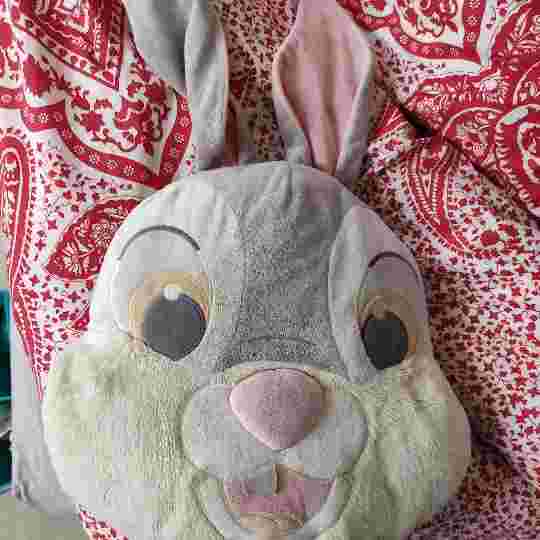 Rabbit shaped pillow