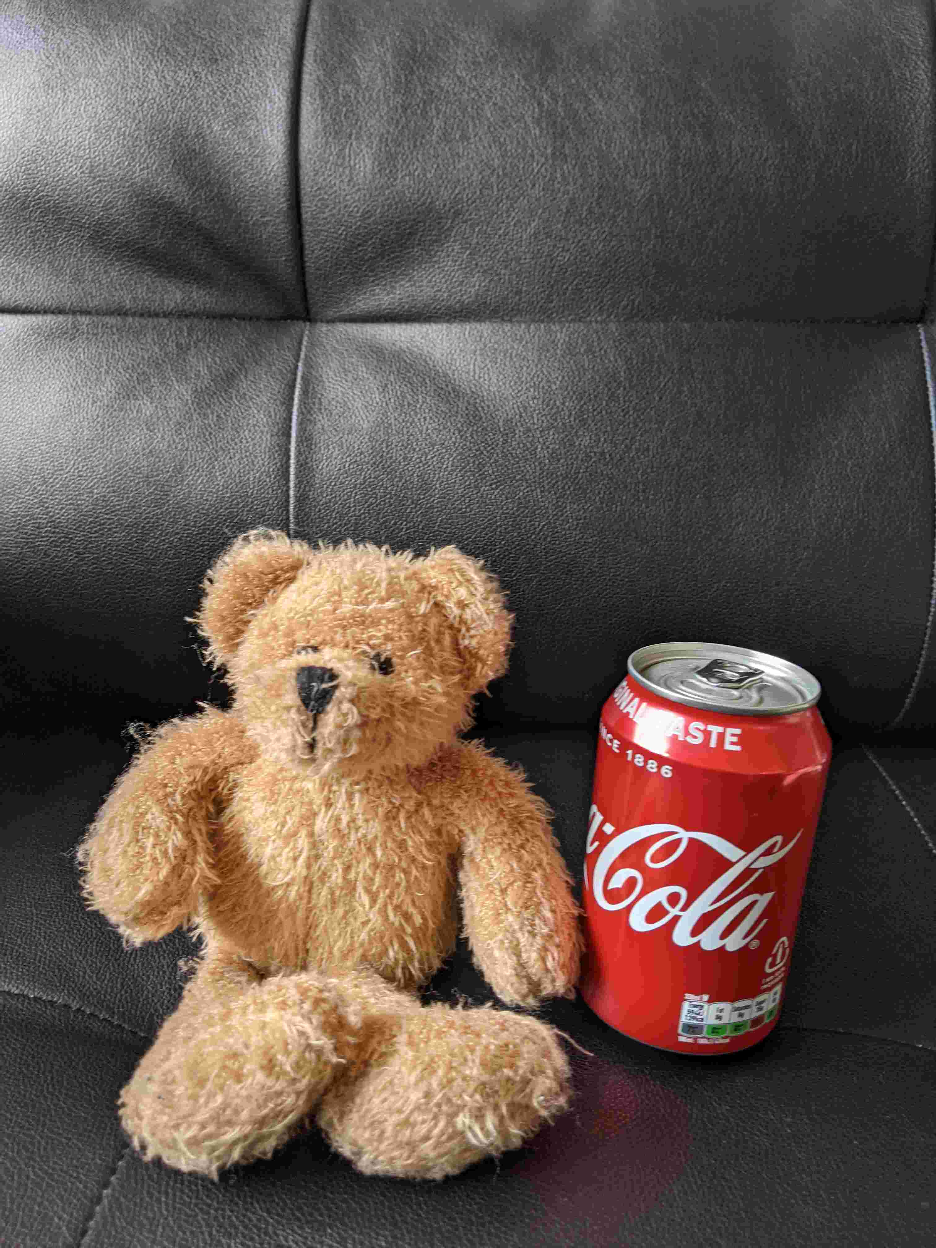 Small Teddy Bear