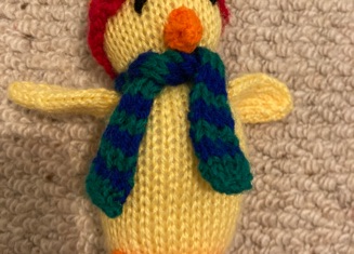 Small Winter chick