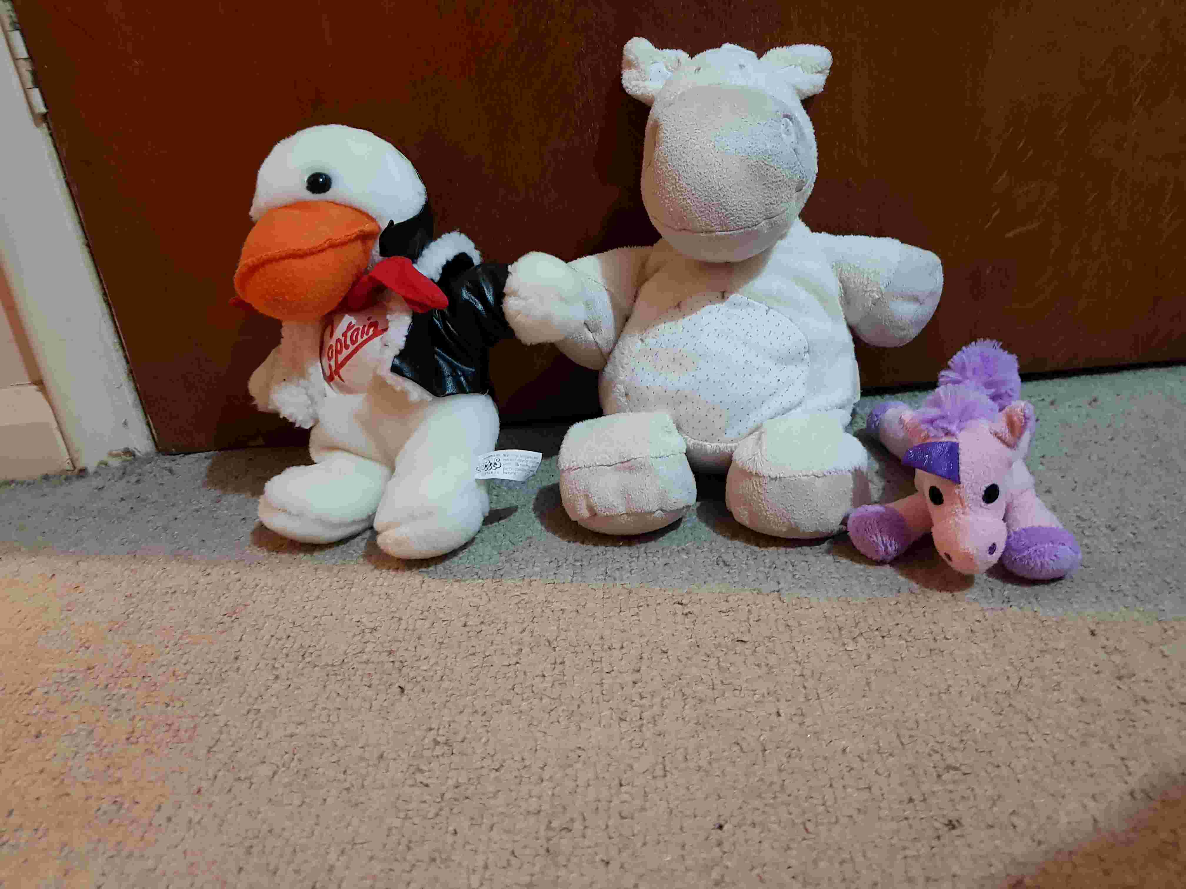 Teddies
