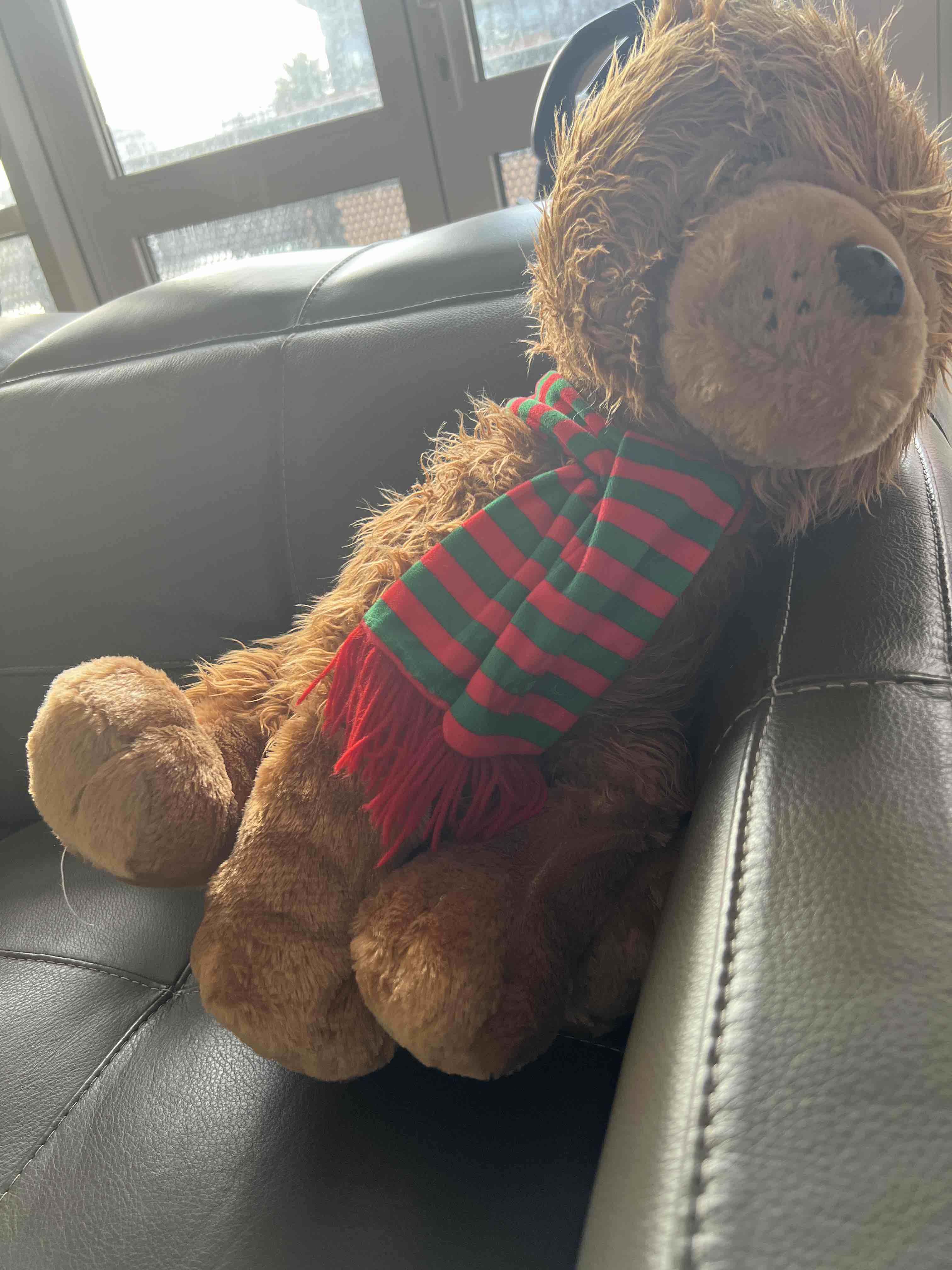 Teddy bear