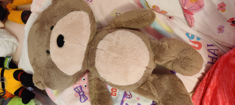 Teddy
