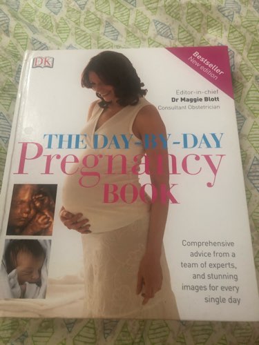 The day by day Pregnancy book