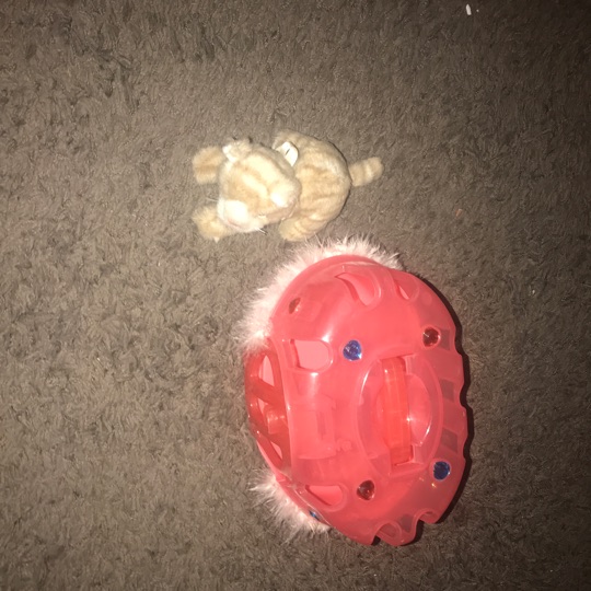 Toy cat