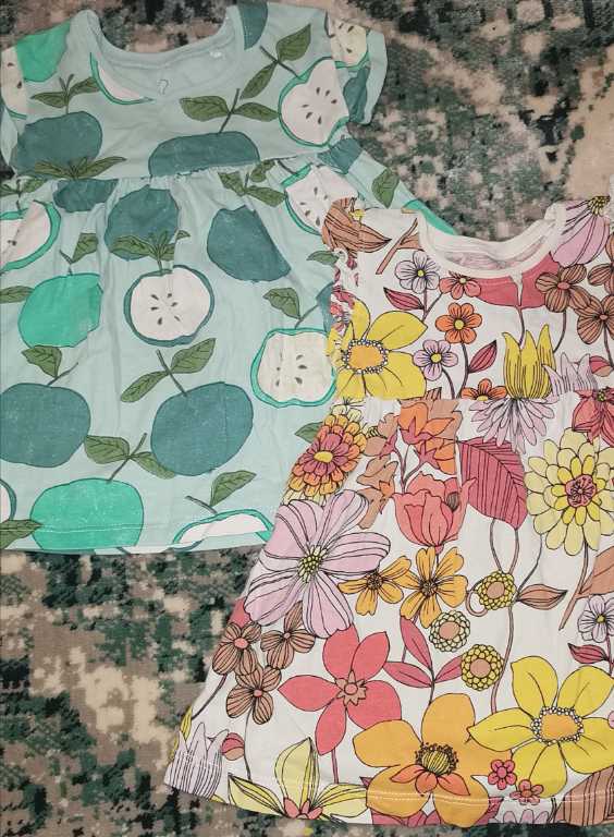Two 6-9 months dresses Next